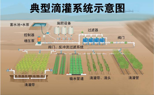 滴灌系統示意圖