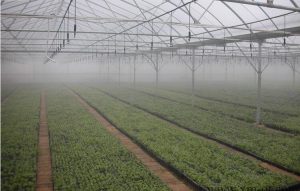 微噴技術在農業設施中的應用