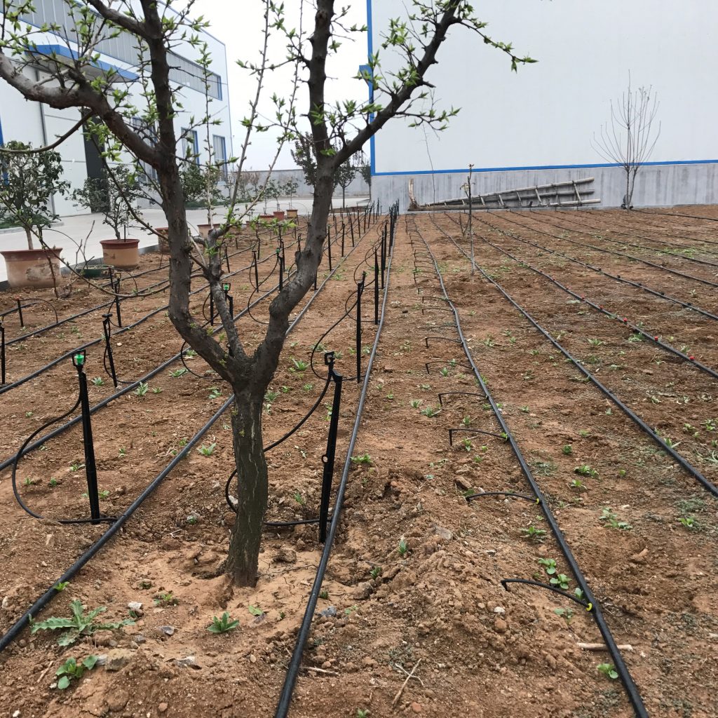 園林噴灌、滴灌、微噴