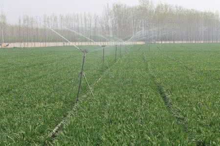 園林噴灌、滴灌、微噴