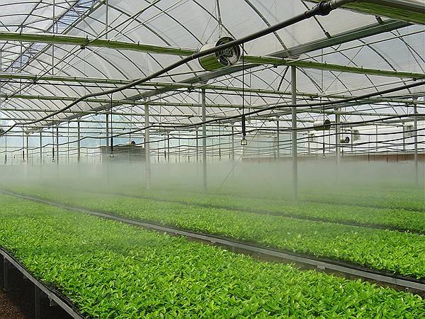 農業節水灌溉措施